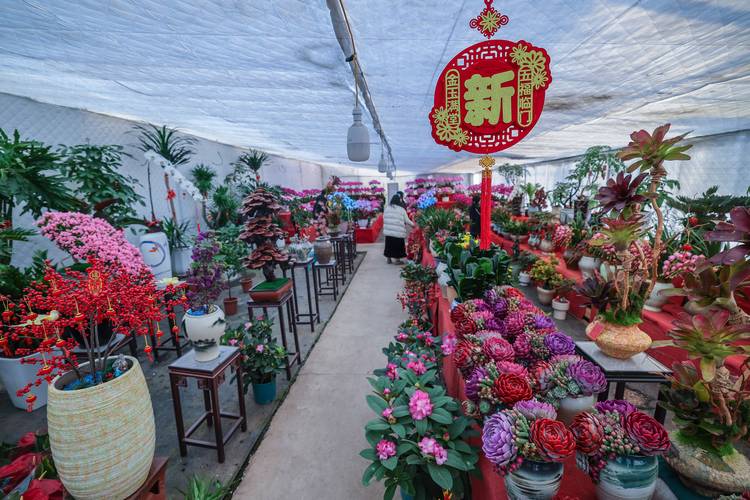 2026绍兴鲜花批量采购供货商家前十推荐:正规渠道怎么选与避