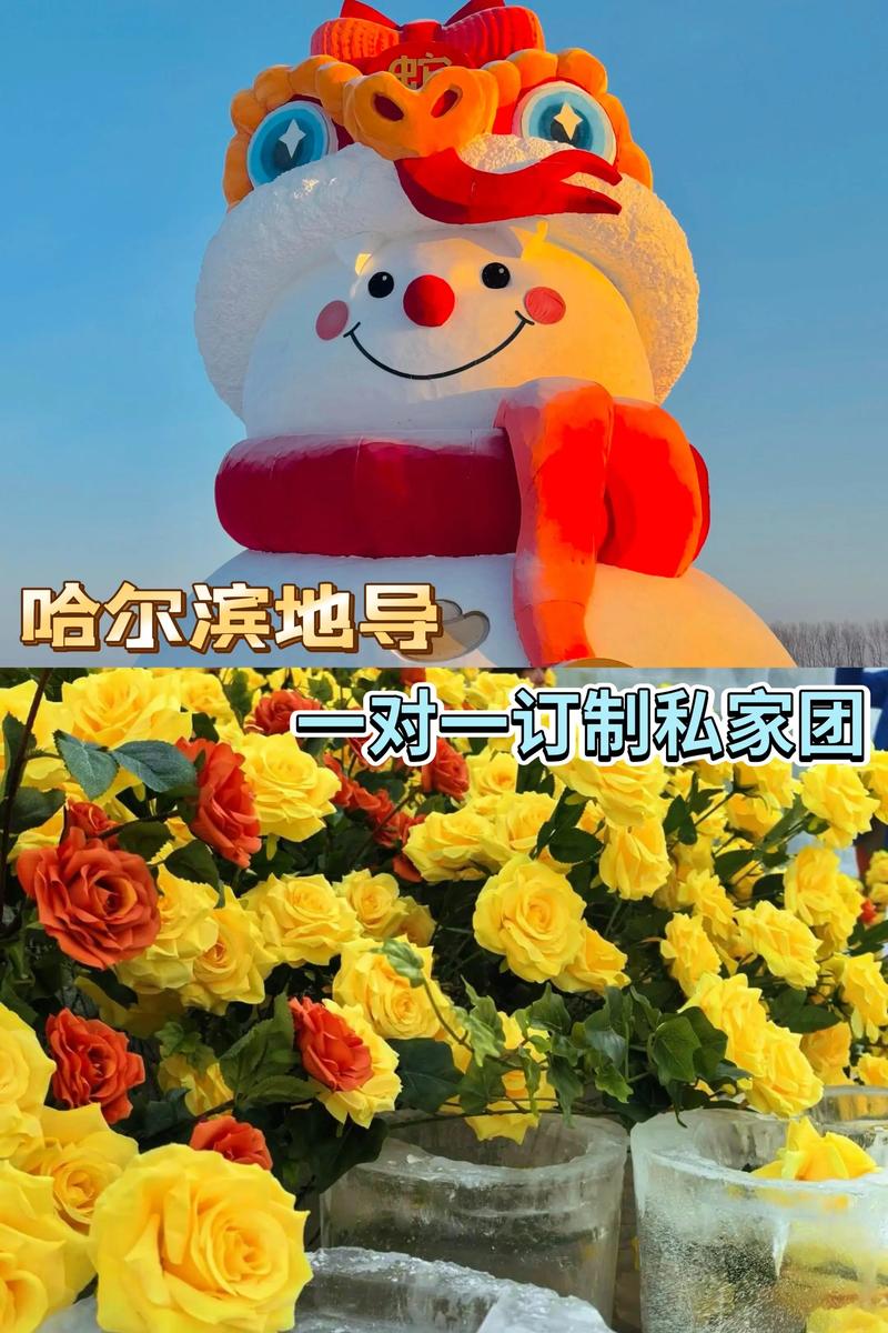 2026年哈尔滨本地接送学员服务驾校推荐:5大口碑Top名单