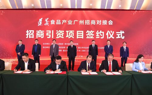 2026遵义招商加盟直营对接机构价格范围与正规选择清单