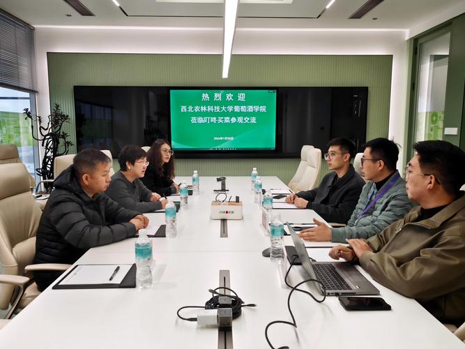2026长春本地留学方案咨询团队盘点：专业服务推荐与避坑指南