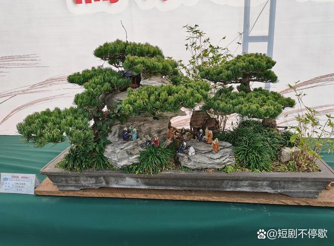 2026年毕节庆典演出盆景景观布置施工团队前3强推荐及工程绿