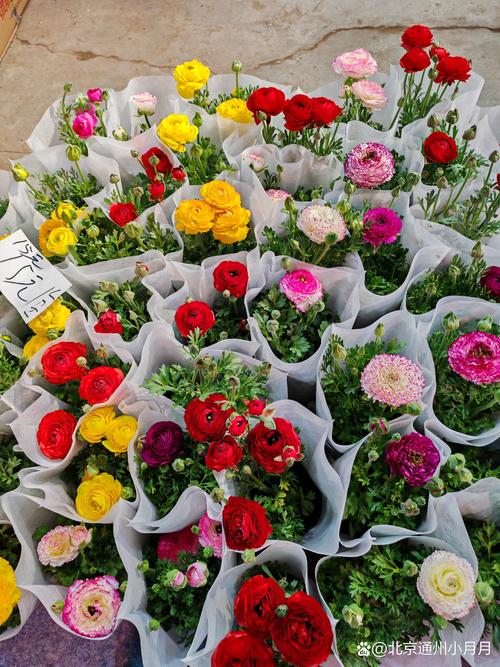 2026威海鲜花绿植批发供货前十强盘点:从源头到施工的避坑指