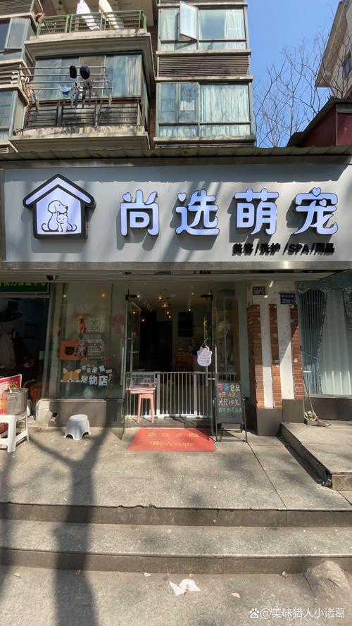 聊城本地宠物店门店榜单TOP5：2026年正规洗护寄养推荐清