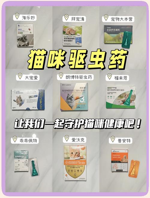 昆明宠物驱虫药TOP3盘点:正规渠道、价格参考与避坑指南