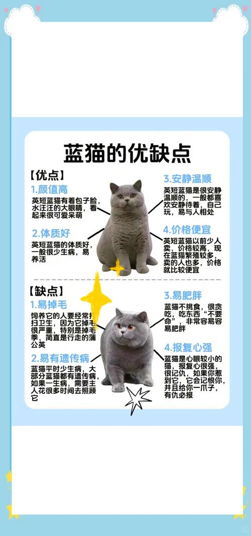 2026黄冈蓝猫纯种排行与选购指南：正规蓝猫厂家、价格及避坑