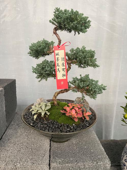 岳阳庆典演出盆景本地门店专业盘点:2026年优质花艺服务商选