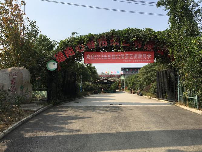 2026年德阳本地文体培训公司哪家强？2026年德阳文体培训