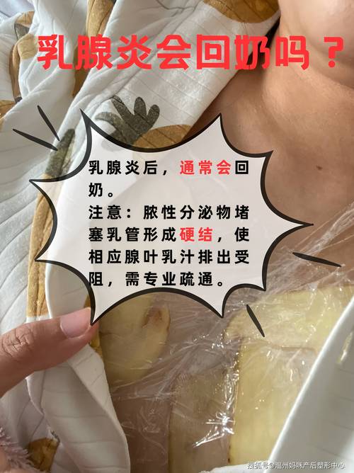 2026白银产后乳房护理前十推荐:分阶段恢复指南与正规机构甄