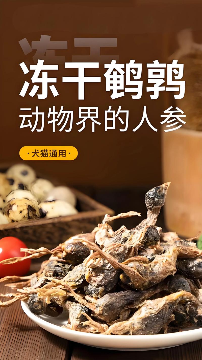 2026邵阳宠物冻干厂家哪家强?价格、口碑与源头直供全解析