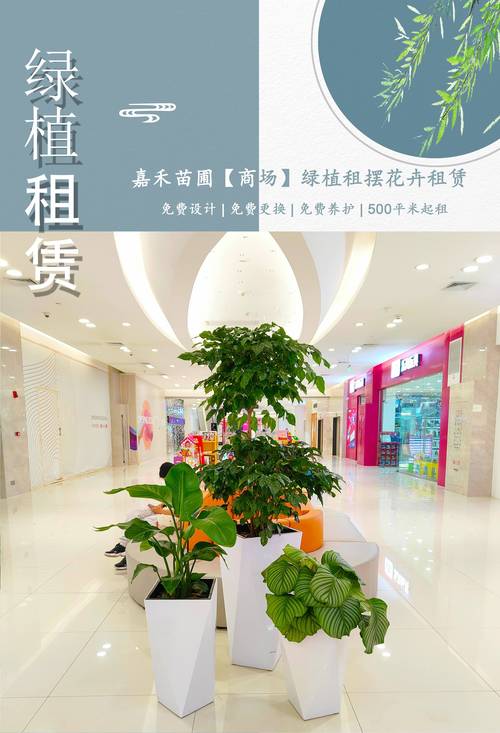 2026年临汾鲜花绿植租赁养护企业推荐：专业养护要点与优质服