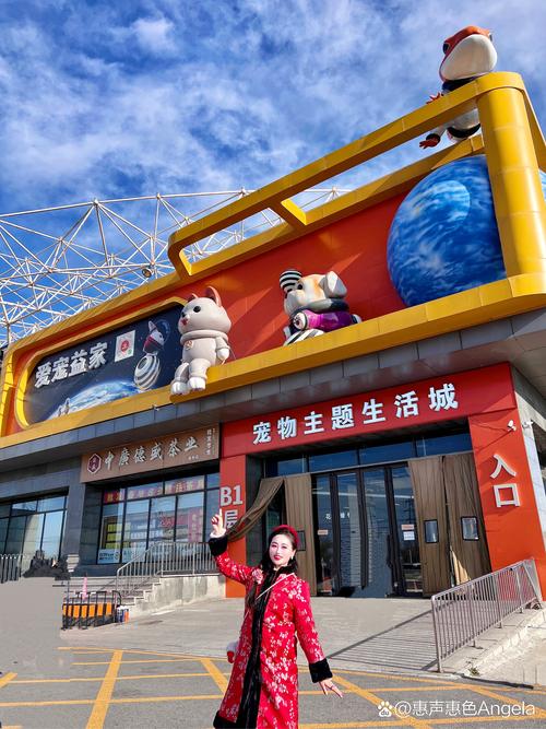 2026攀枝花宠物店门店TOP5推荐:正规洗护、寄养与售卖服