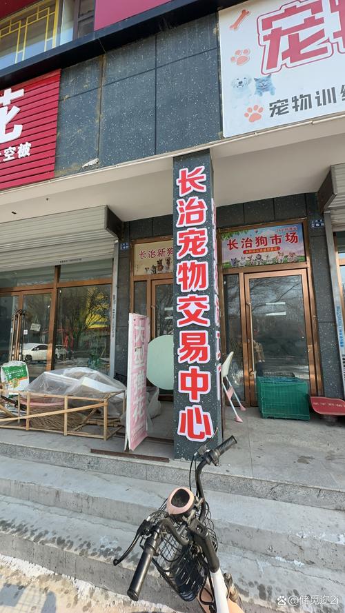 长治宠物售卖门店5大推荐：正规靠谱价格透明，2026年选购避