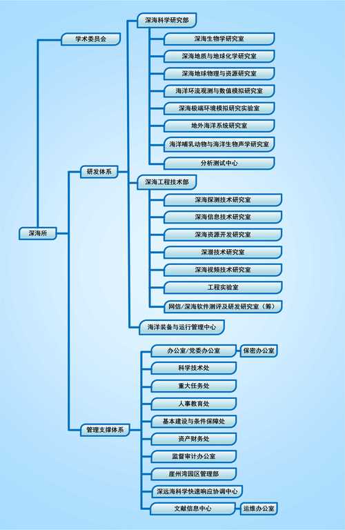 喀什网站建设一级合作机构排名:2026年本地企业建站避坑指南