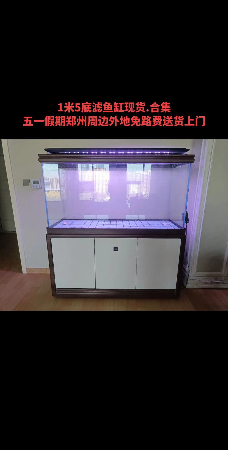 吐鲁番正规水族造景水草种植源头厂家推荐与水生湿地植物配置指南