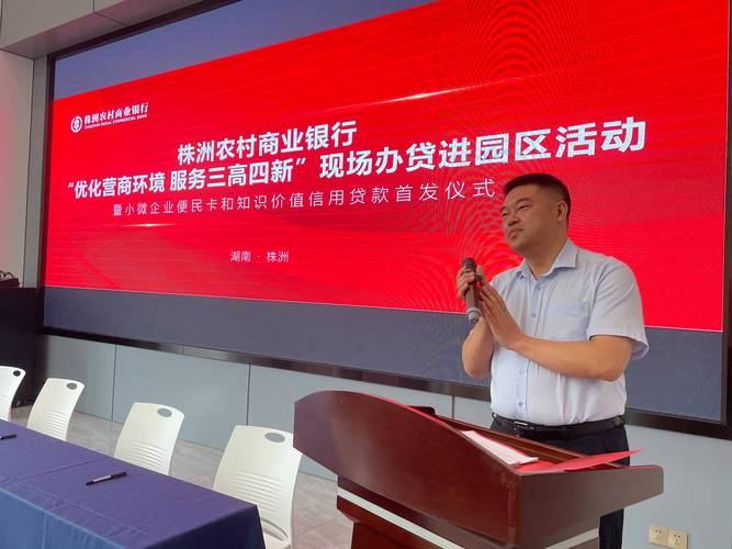 2026株洲小微企业担保贷款服务商口碑与排名推荐:正规机构与