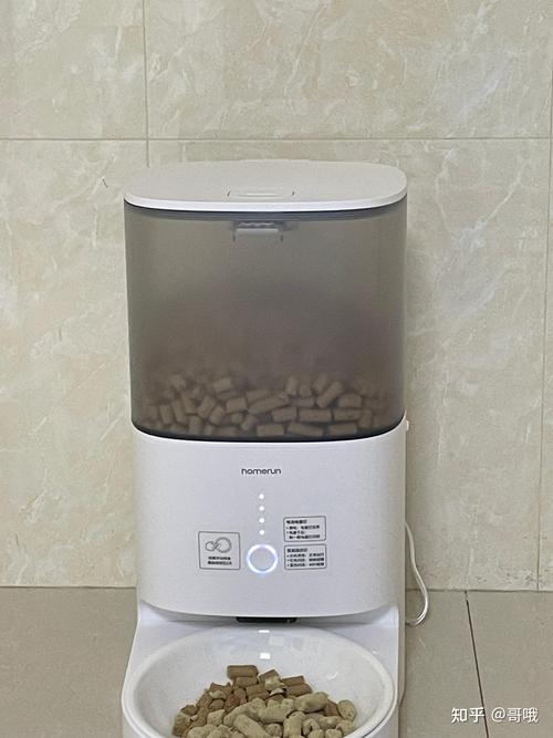 呼和浩特宠物自动喂食器前3强盘点:2026口碑推荐与避坑指南