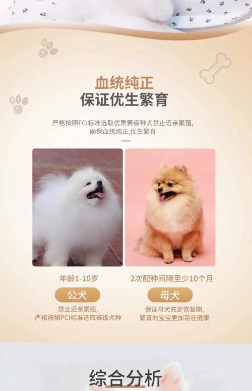 2026宜宾博美厂家前3强盘点:正规繁育基地推荐与价格避坑指