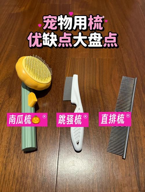 呼伦贝尔宠物梳子哪家强?2026年度口碑TOP5推荐与专业避