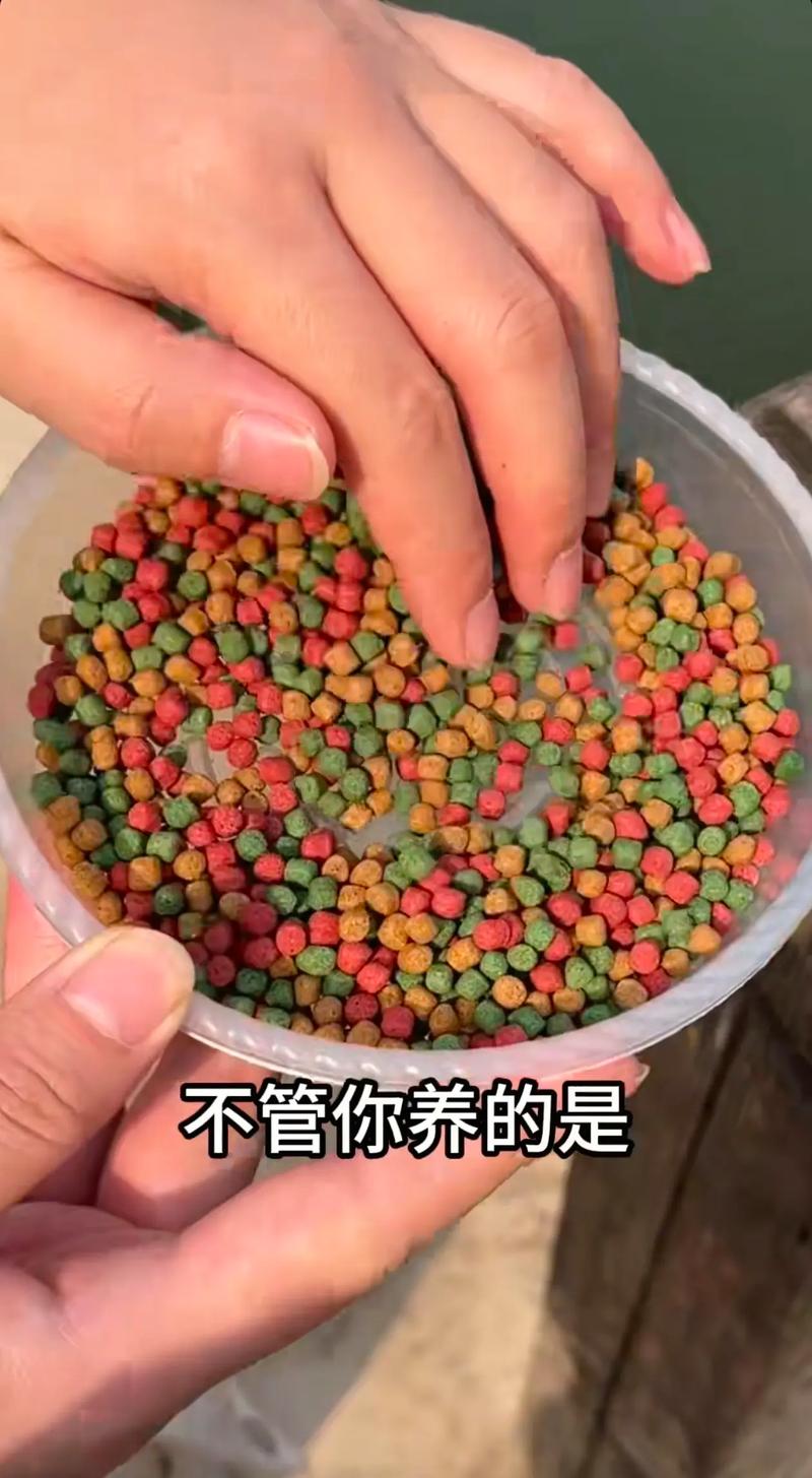 呼伦贝尔鱼粮鱼饲料口碑排名及选购指南：2026年行业深度观察