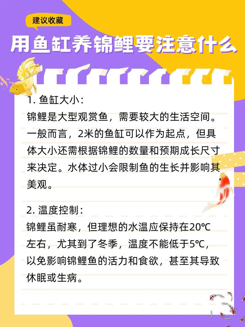 2026年大理锦鲤养殖厂家TOP5推荐:正规厂家与选购指南