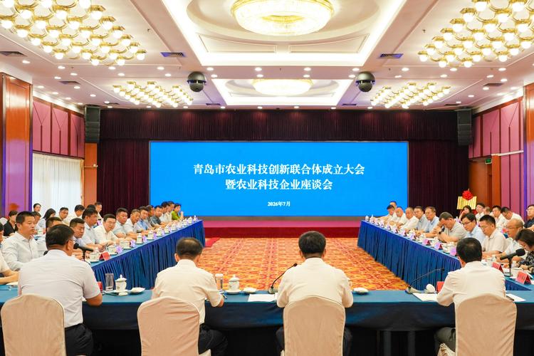 青岛经营性贷款担保服务商推荐：2026年正规渠道、费用排行与