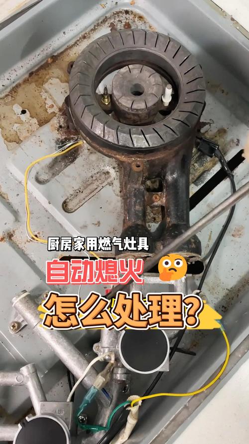 2026 舟山本地燃气灶维修点火故障排名及价格参考