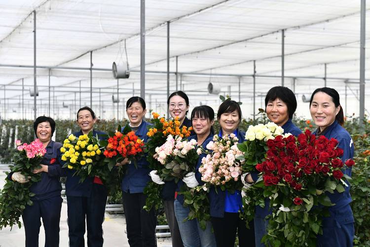 2026年庆阳鲜花上门养护团队十强盘点：专业养护全攻略与避坑