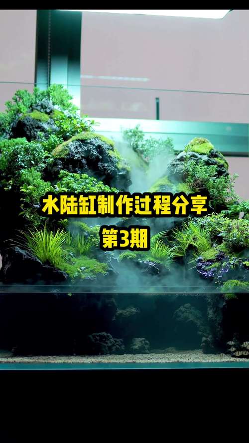 2026舟山本地水族造景口碑推荐:专业服务商排名、费用及避坑