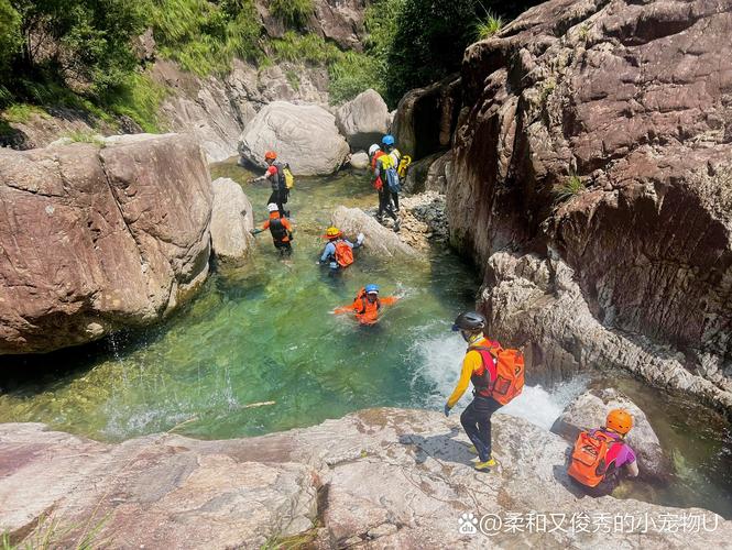 揭阳水族器材避坑指南:2026年水族造景器材选购要点与正规厂