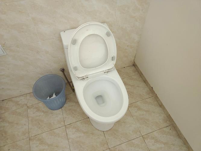 汕头本地马桶推荐：2026年口碑前十强及避坑指南