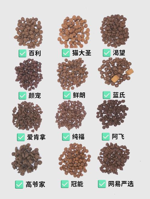 2026南平本地宠物主粮怎么选?主流品类对比与避坑全攻略