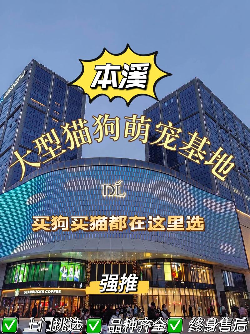 2026本溪本地宠物顺带照料推荐：2026年专业宠物顺带照料