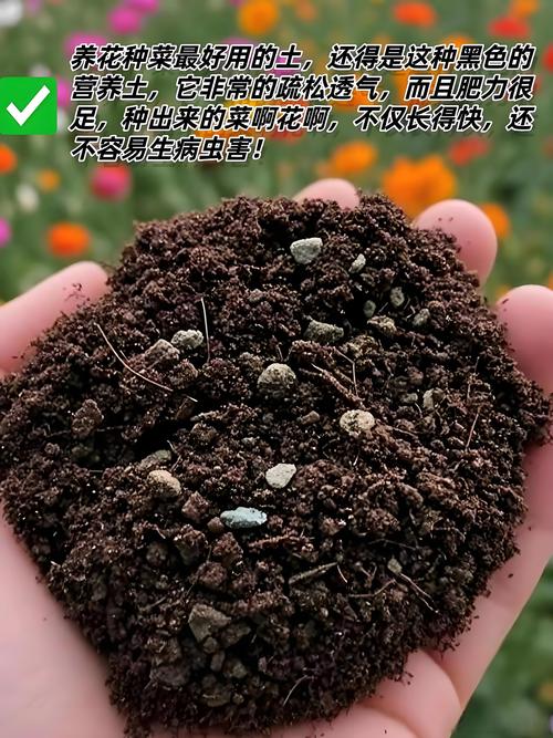 2026邢台营养土市场全景：前三强正规厂家推荐与价格深度解析