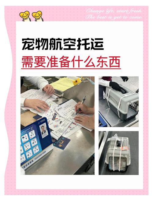 2026年黄冈本地宠物托运代办排名:正规服务商TOP3推荐与