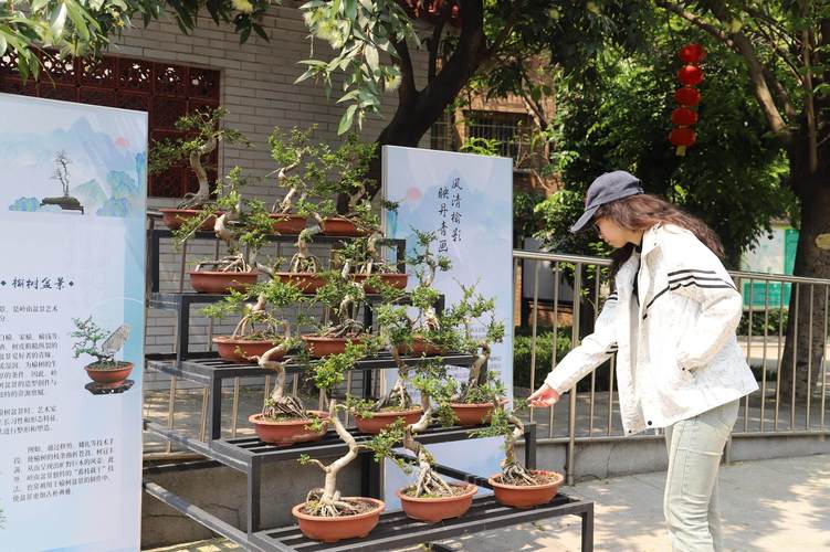 四平活动庆典绿植盆景布置团队十强盘点:2026年源头厂家与设