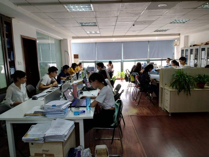 商丘高新专项会计审计服务商盘点:2026年专业避坑指南与费用