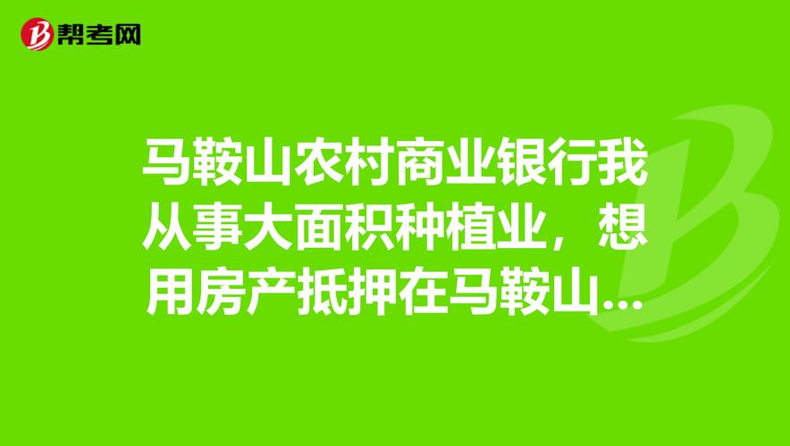 马鞍山本地个人担保贷款咨询TOP5盘点：2026年正规机构、