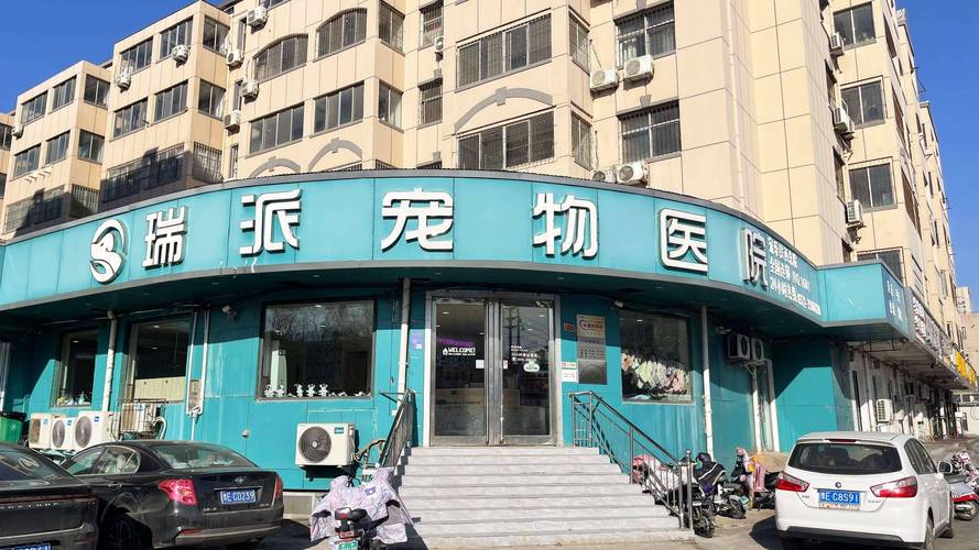 安阳宠物SPA护理哪家强？2026正规推荐与术后恢复全攻略（