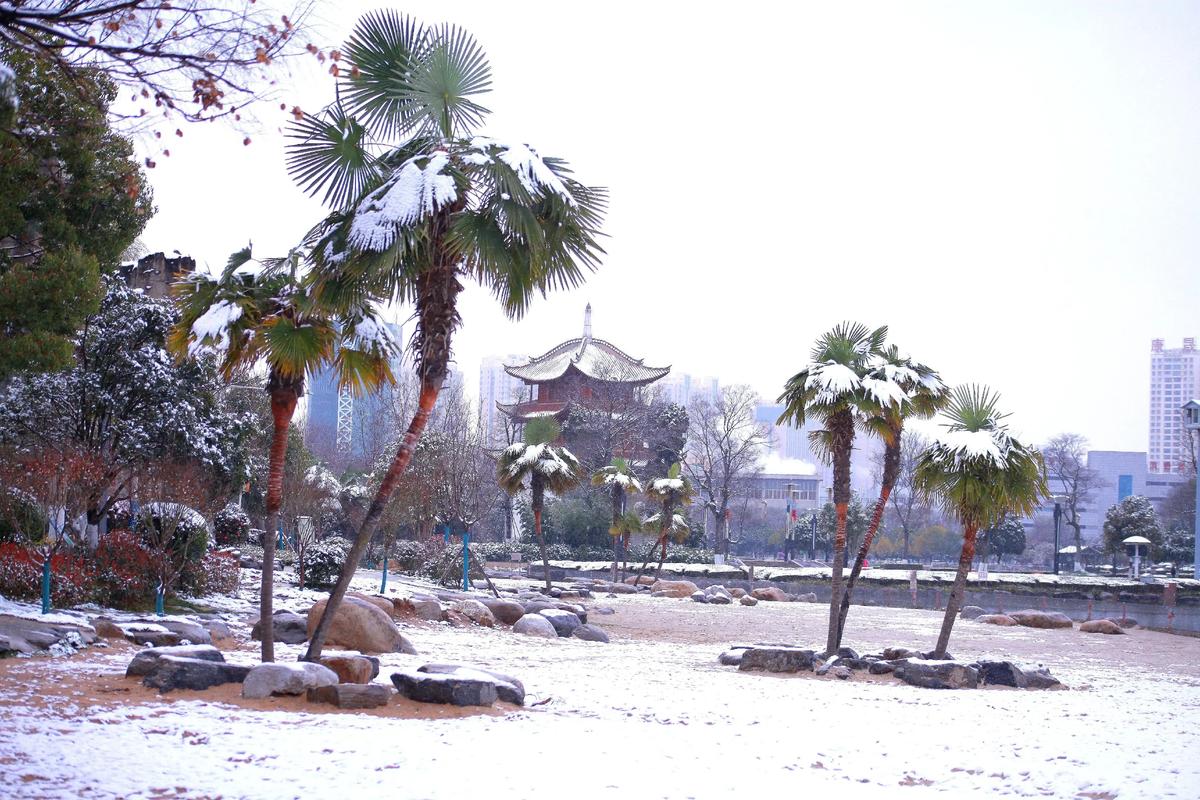2026昭通雪景度假旅游咨询:十大正规机构推荐与行程规划避坑