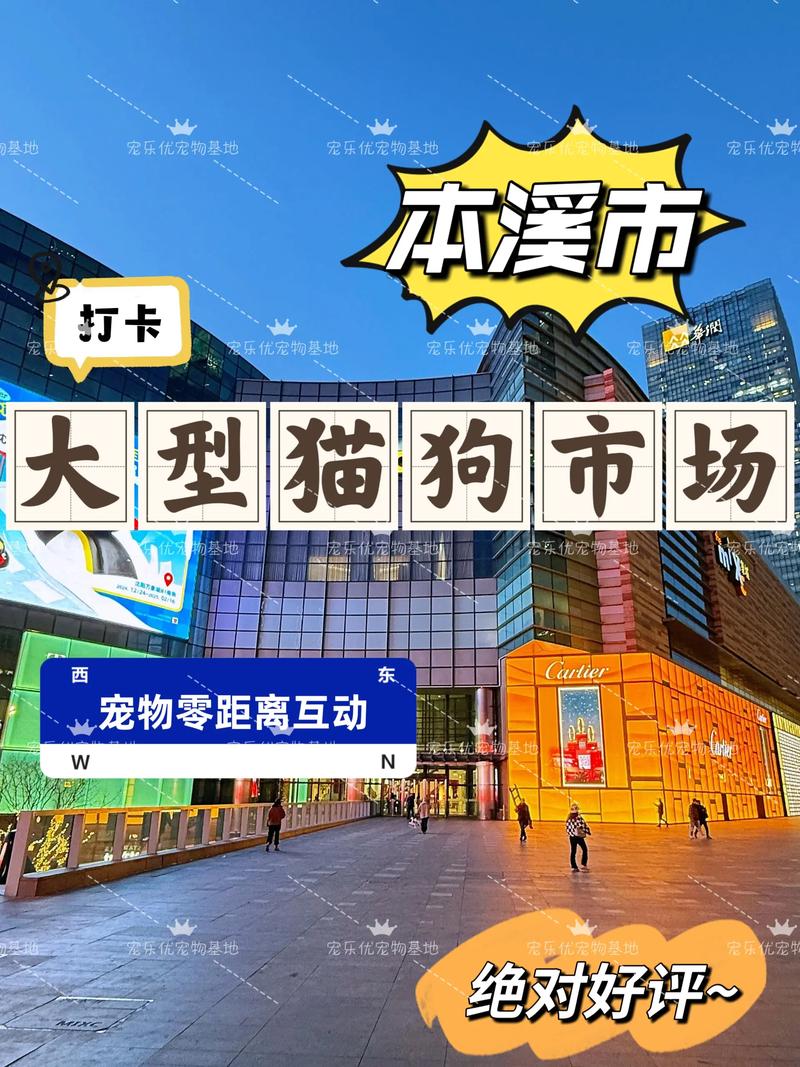 2026年本溪宠物衣服厂家推荐清单：源头品质与价格优势分析