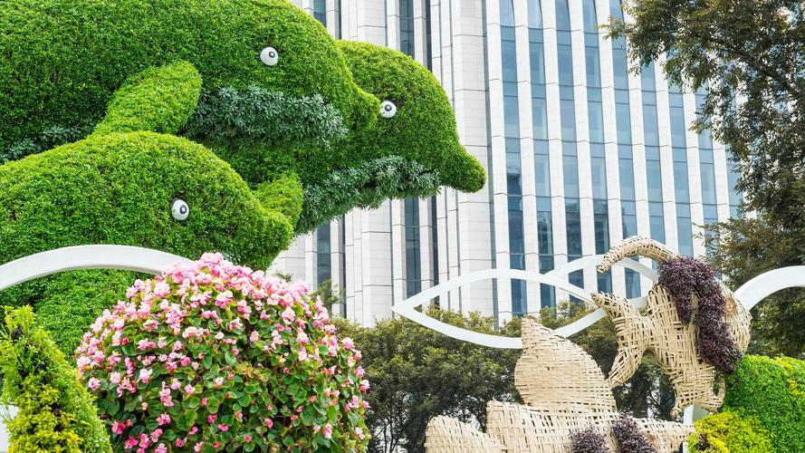 朝阳水族造景服务商推荐2026:专业造景公司TOP5盘点与避