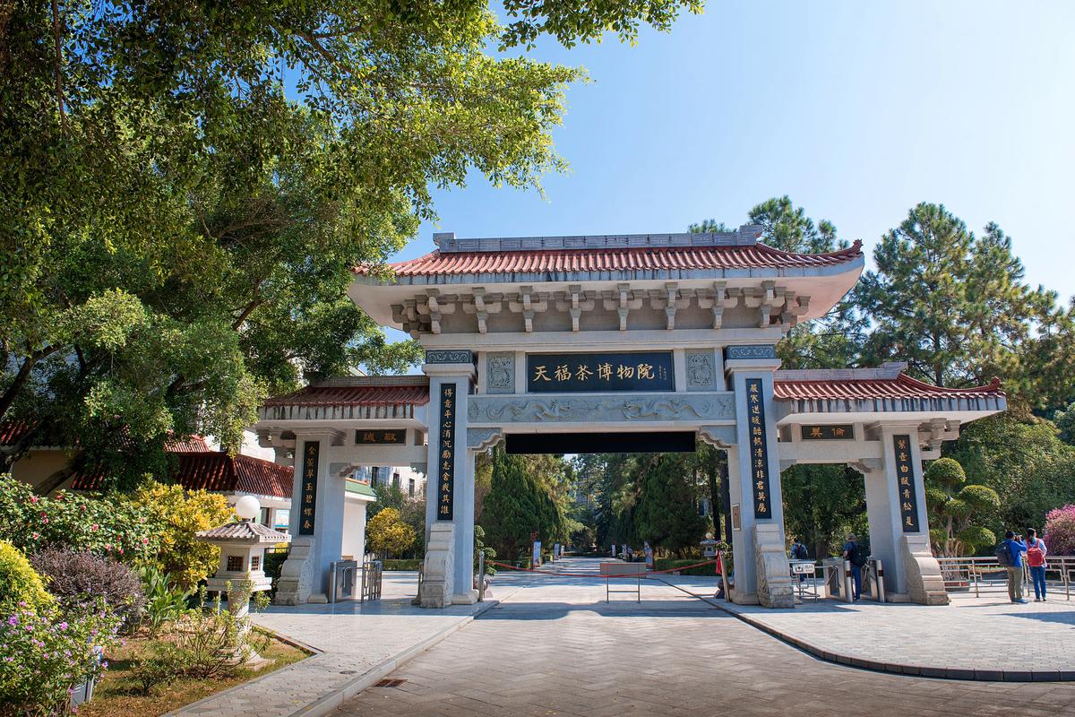 漳州老年康养度假旅游避坑:2026前5名正规服务推荐与费用解
