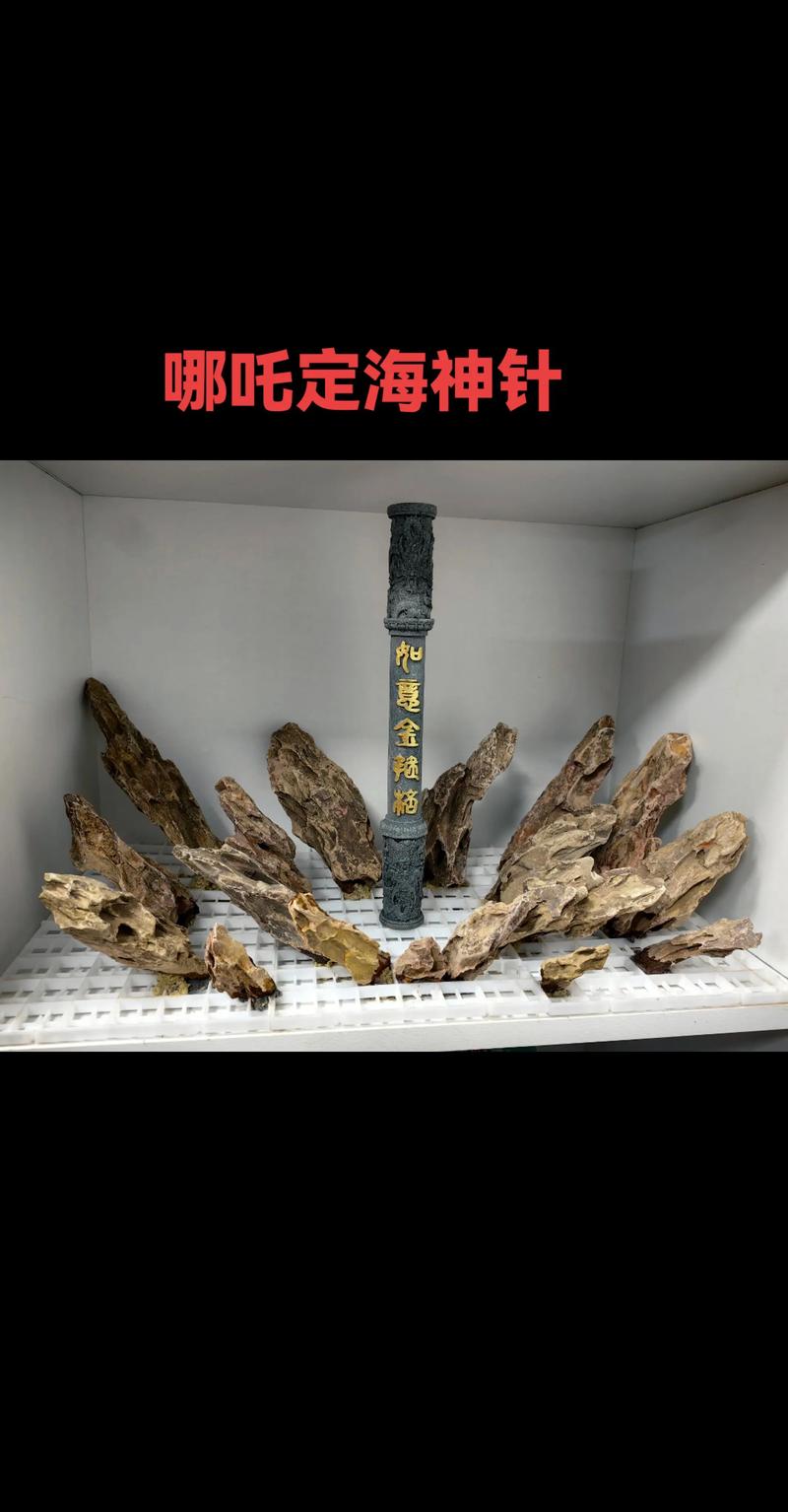 2026年阜新本地水族造景服务商排名盘点:专业造景与源头厂家