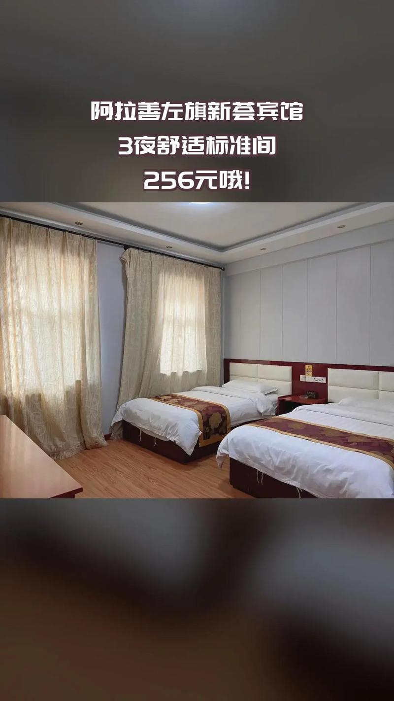 2026年阿拉善宾馆住宿区域服务商正规推荐:商务旅游住宿怎么