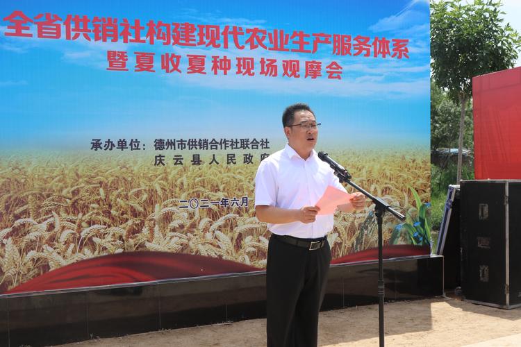 德州外语全程托管培训前3强推荐:正规机构排行榜与选择指南(2
