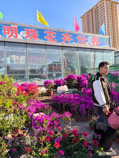 吐鲁番庆典演出鲜花本地门店怎么选?2026年服务商盘点与方案