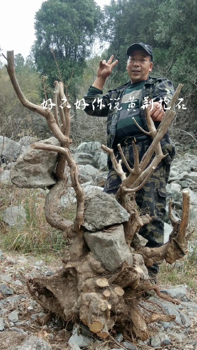 果洛庆典演出盆景源头厂家推荐:如何选择专业的一站式花艺设计与
