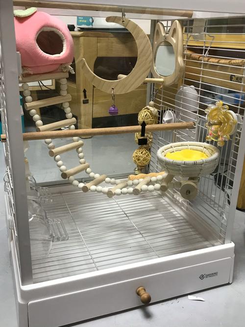 2026牡丹江宠物玩具避坑指南:本地宠物用品选购全解析与推荐