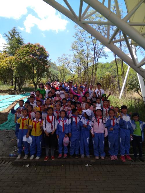 2026阿里本地中小学寒暑假集训班前3强推荐：正规口碑与费用