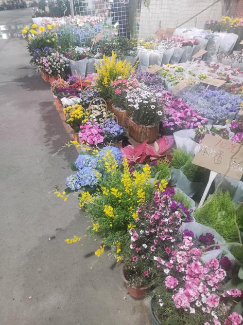 2026年岳阳鲜花绿植门店价格参考与正规商家推荐指南